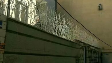 حفاظ شاخ گوزنی در بندر لنگه