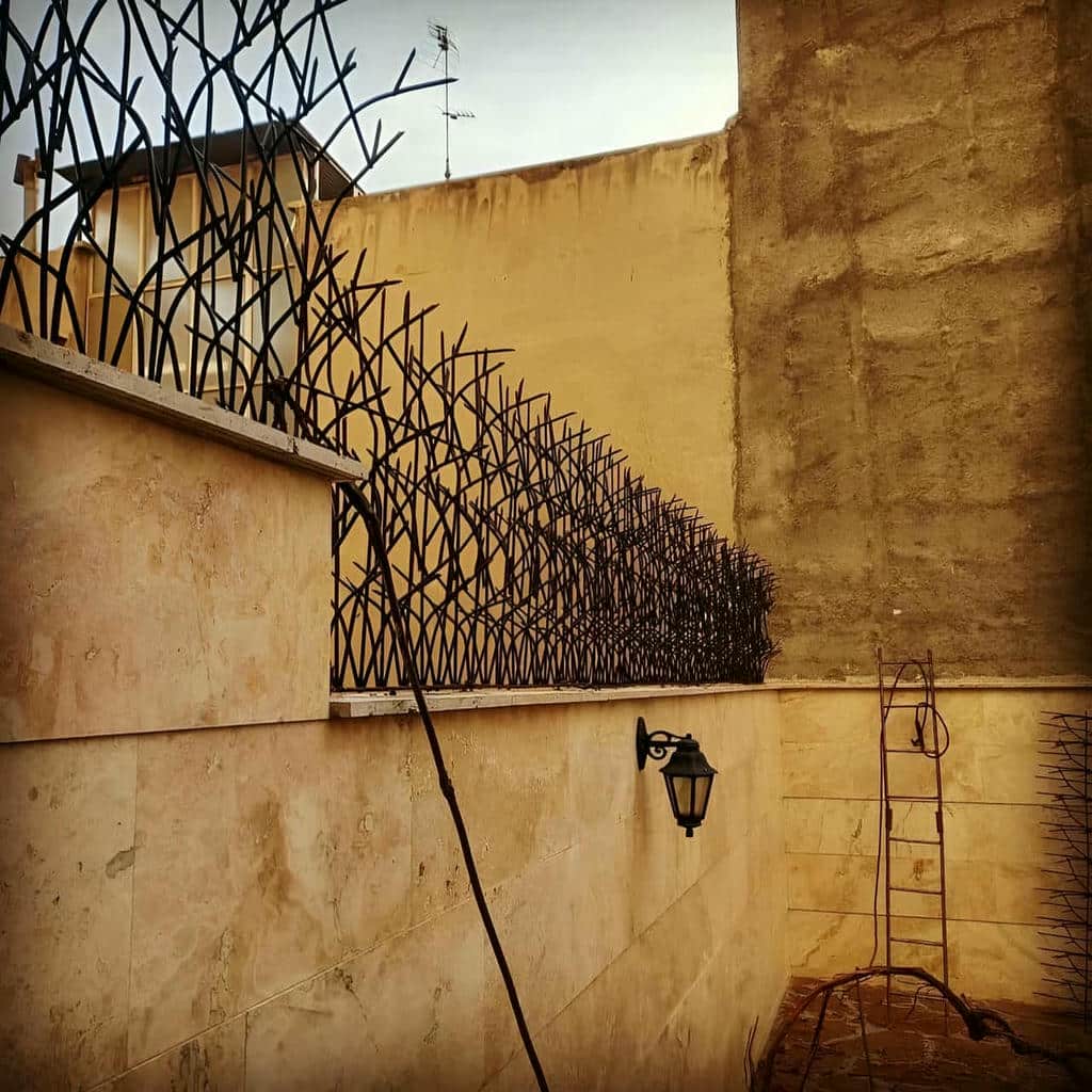 کارخانه حفاظ شاخ گوزنی مقاوم در رطوبت در چالوس