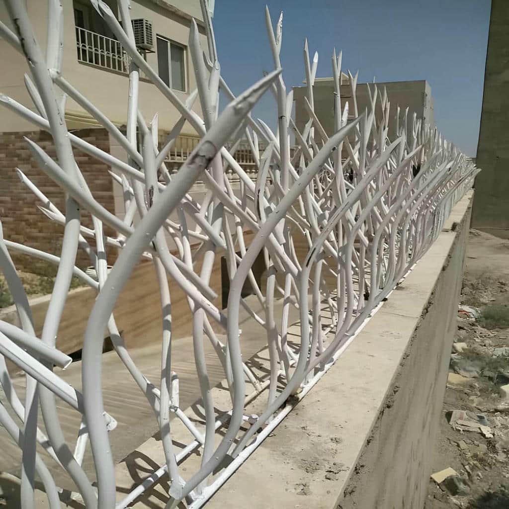 حفاظ شاخ گوزنی در محمودآباد