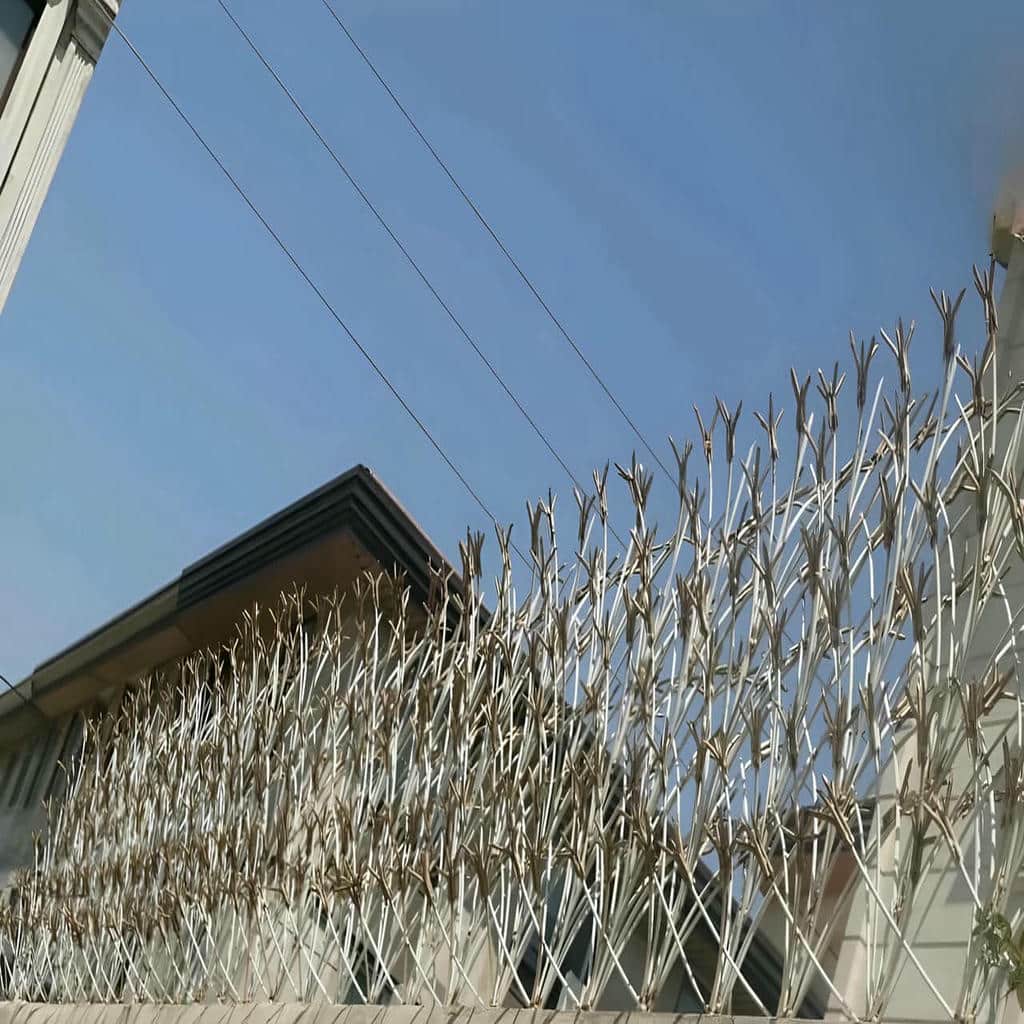 کارخانه حفاظ شاخ گوزنی طراحی شاخه ای در سمنان