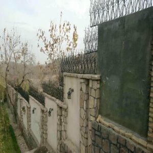 حفاظ شاخ گوزنی در شهریار