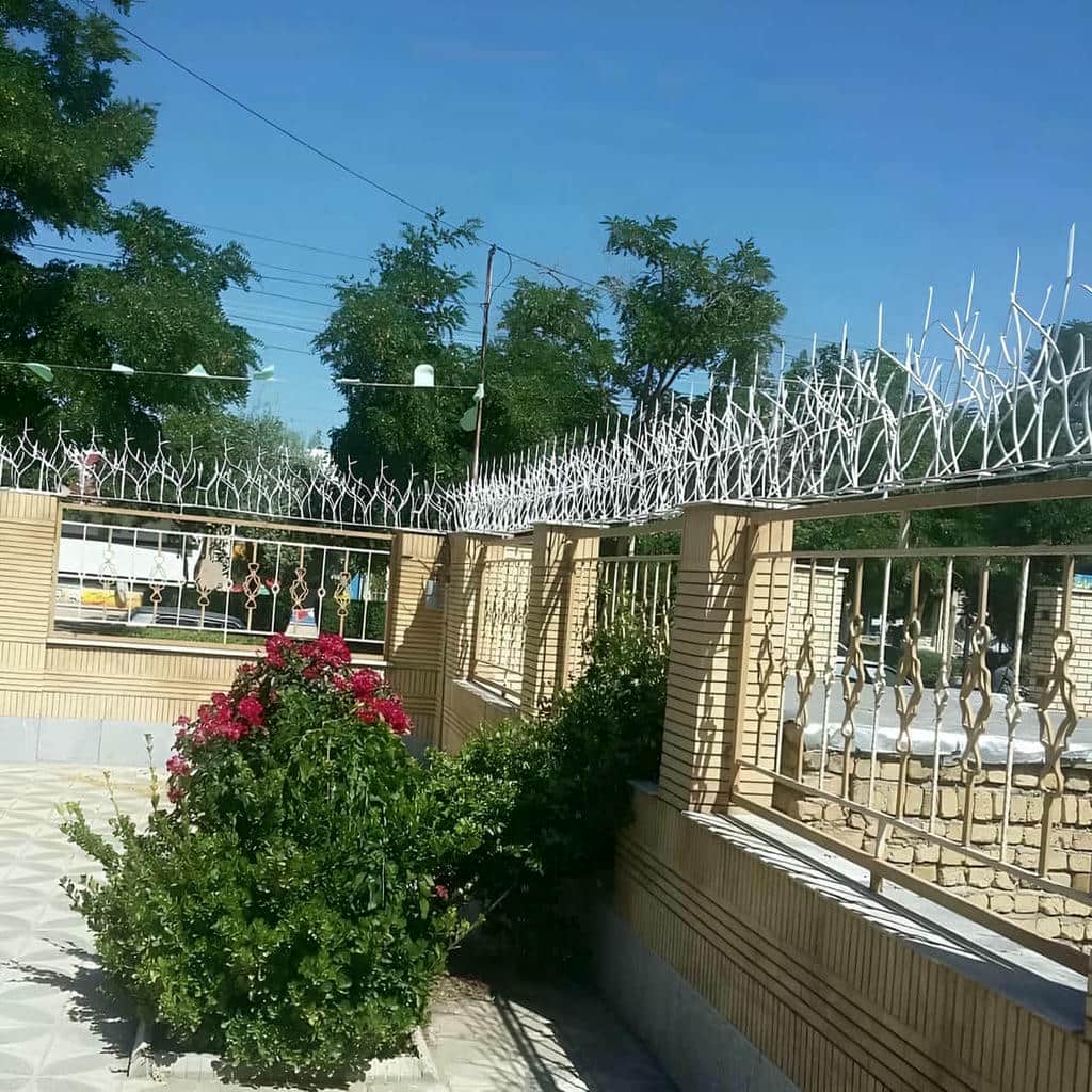 خرید حفاظ شاخ گوزنی ابعاد متناسب دیوار در مهرشهر کرج