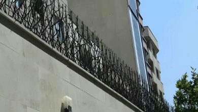 حفاظ شاخ گوزنی در عظیمیه کرج