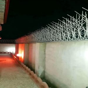 حفاظ شاخ گوزنی در مهرشهر کرج
