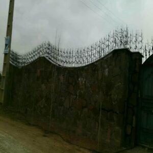 حفاظ شاخ گوزنی در سنندج