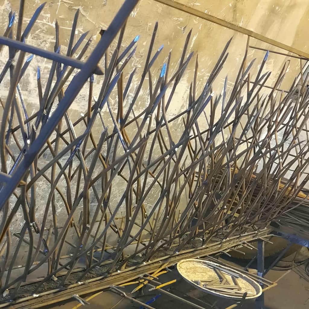 حفاظ شاخ گوزنی در شهرکرد