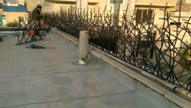 حفاظ شاخ گوزنی در بندر انزلی