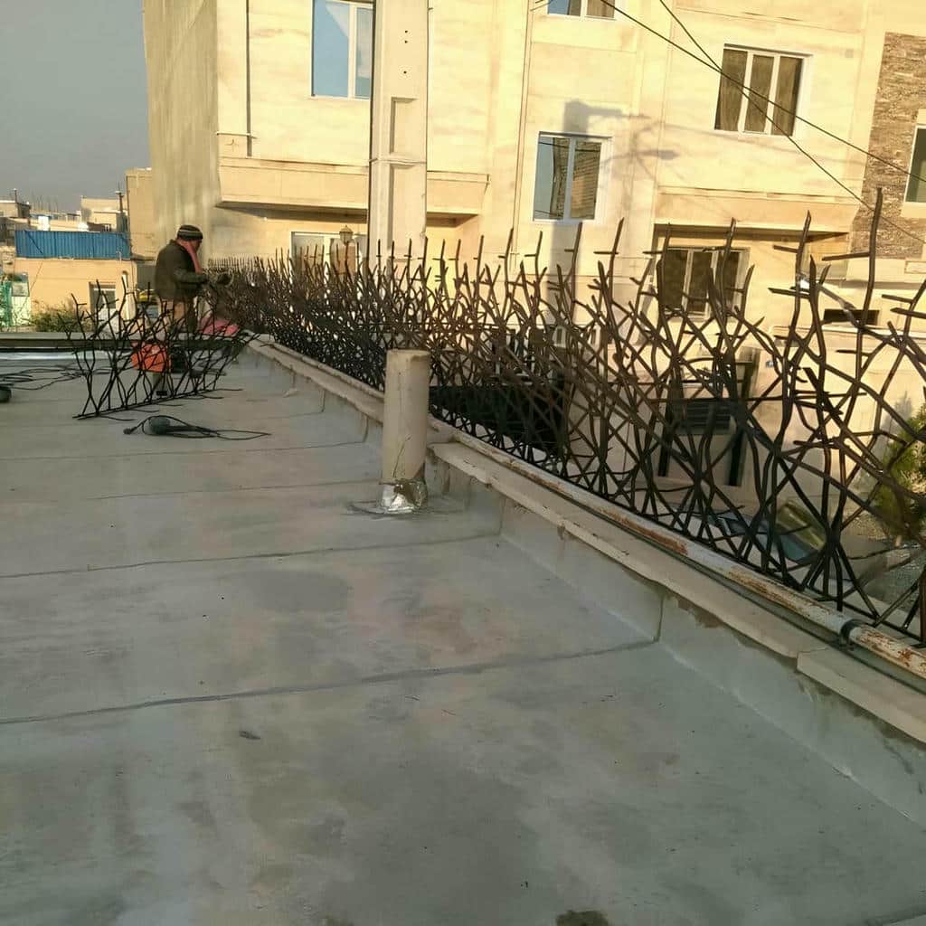 حفاظ شاخ گوزنی در بندر انزلی