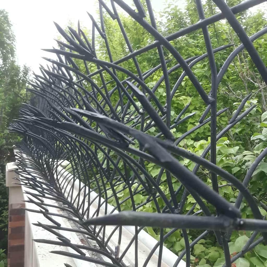 نصب حفاظ شاخ گوزنی طراحی شاخه ای در بجنورد
