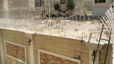 حفاظ شاخ گوزنی دیوار ساختمان در پرند