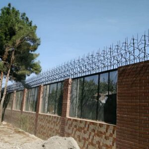 حفاظ شاخ گوزنی در همدان