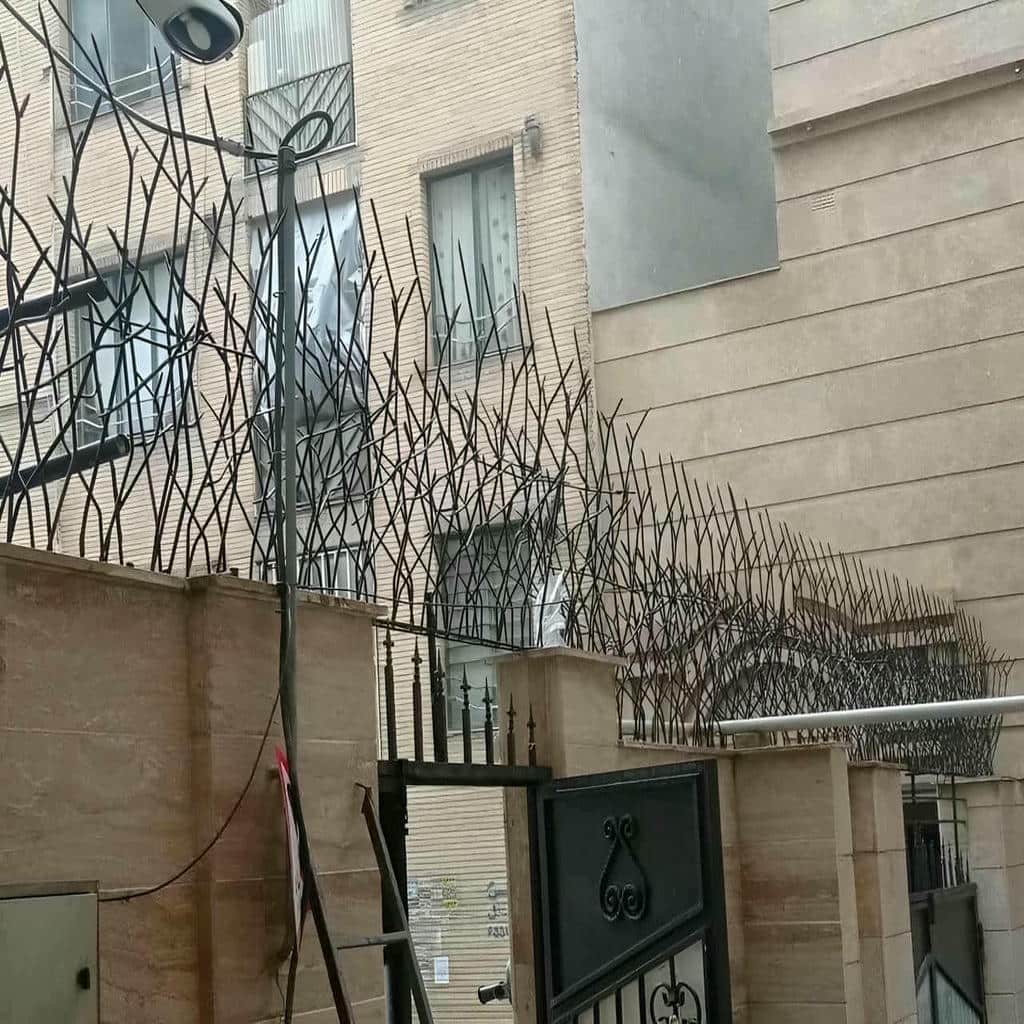 خرید حفاظ شاخ گوزنی ابعاد متناسب در کرج