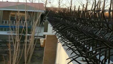 حفاظ شاخ گوزنی در لواسان