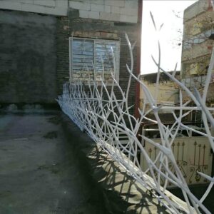 حفاظ شاخ گوزنی در قم