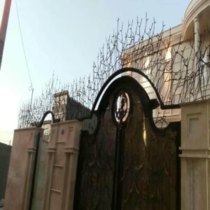 حفاظ شاخ گوزنی در طالقان