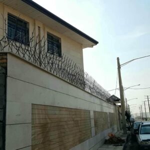حفاظ شاخ گوزنی در ساوه