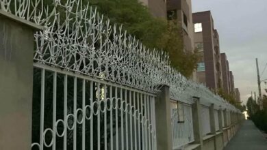 حفاظ شاخ گوزنی در آمل