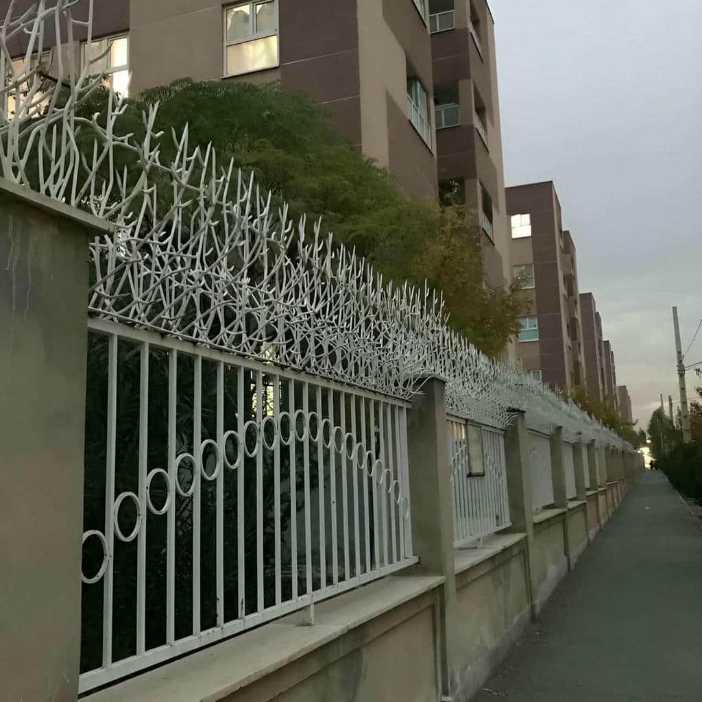 حفاظ شاخ گوزنی در آمل
