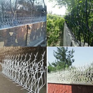 حفاظ شاخ گوزنی در دماوند