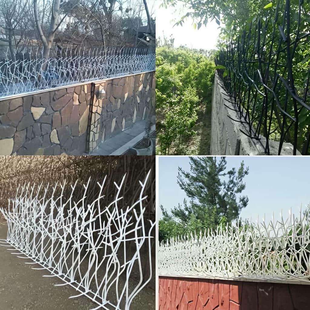 حفاظ شاخ گوزنی در دماوند