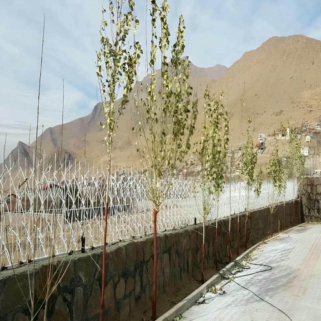 خرید حفاظ شاخ گوزنی تراکم صحیح در استان گیلان