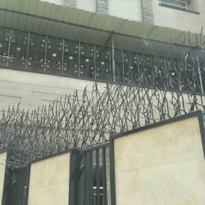 حفاظ شاخ گوزنی در بندرعباس