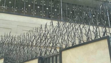 حفاظ شاخ گوزنی در بندرعباس