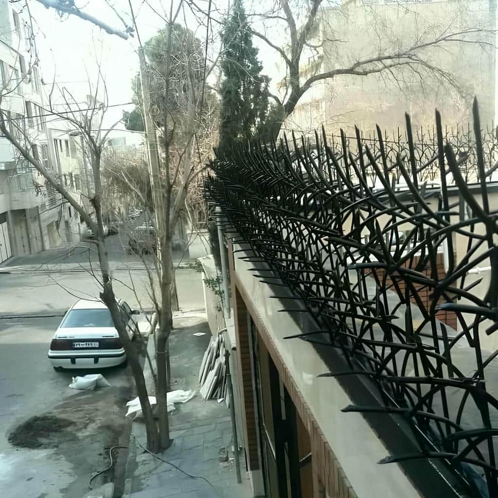 خرید حفاظ شاخ گوزنی تلرانس ساخت در کاشان