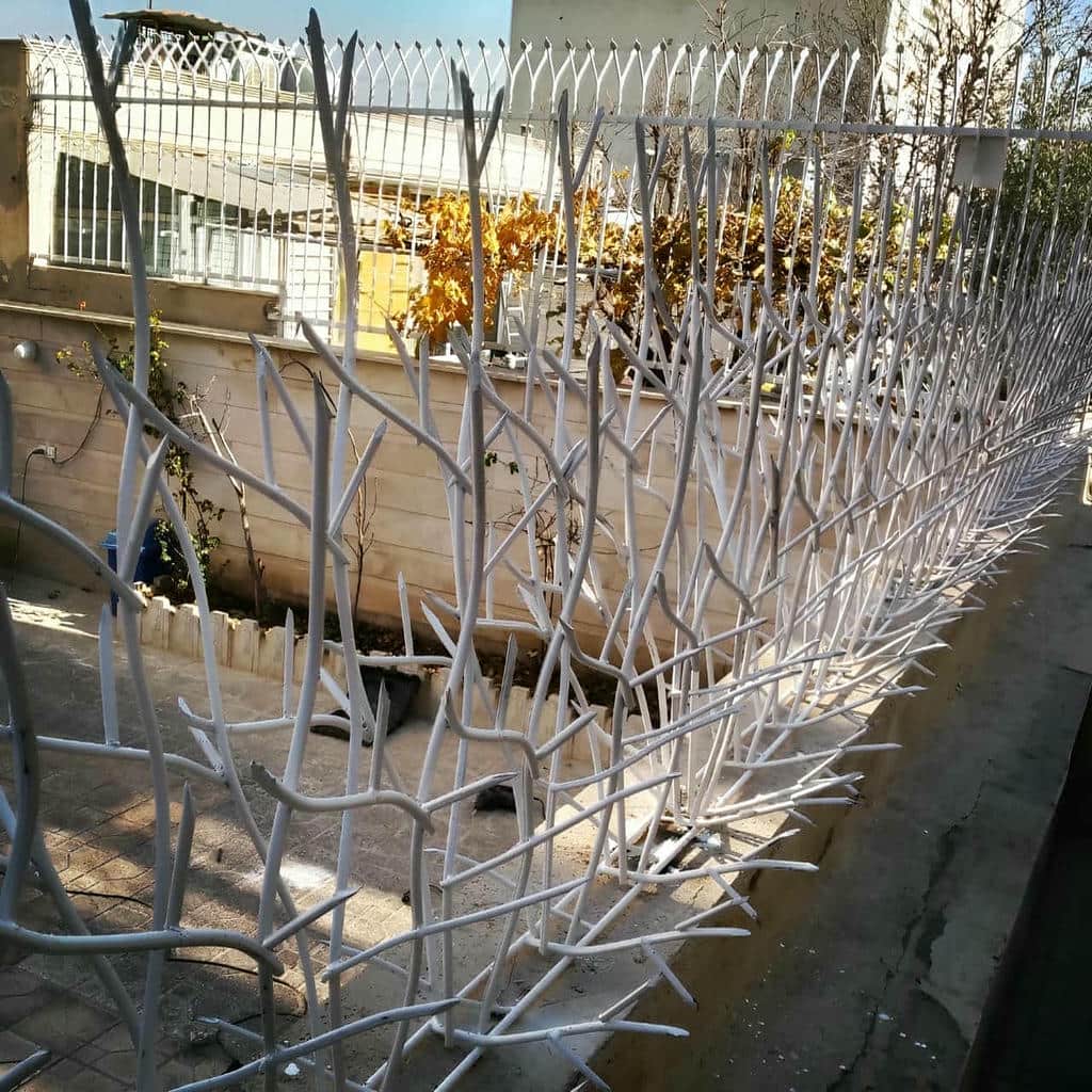 قیمت حفاظ شاخ گوزنی کاربری مسکونی در آبسرد