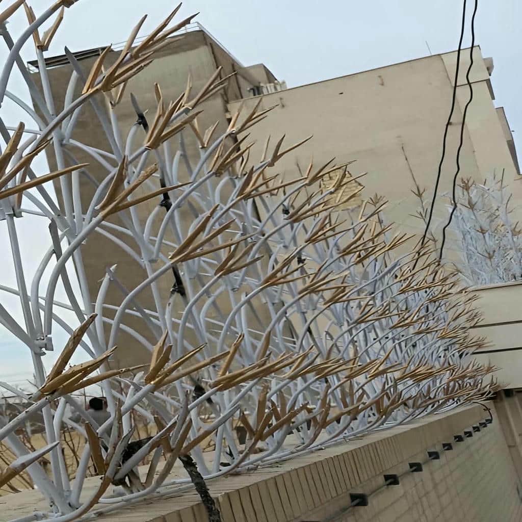 خرید حفاظ شاخ گوزنی تلرانس ساخت در مشهد