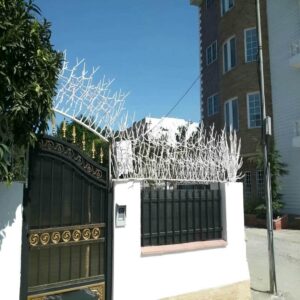 حفاظ شاخ گوزنی در سیرجان