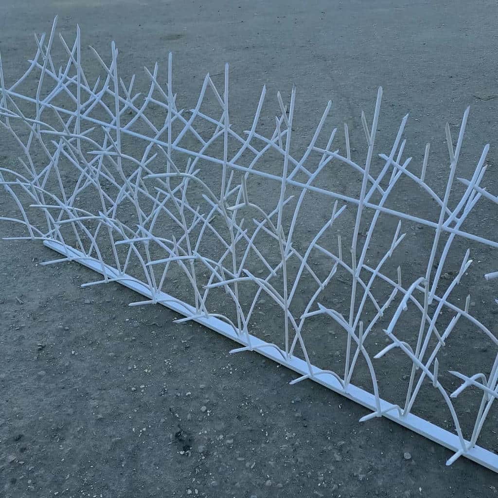 خرید حفاظ شاخ گوزنی ابعاد متناسب نما در کمال شهر