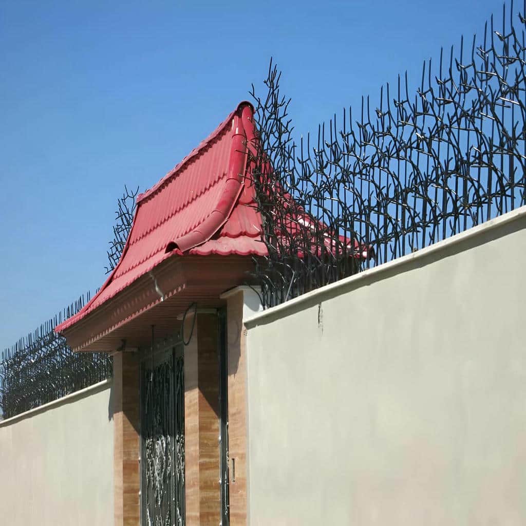 حفاظ شاخ گوزنی در بجنورد