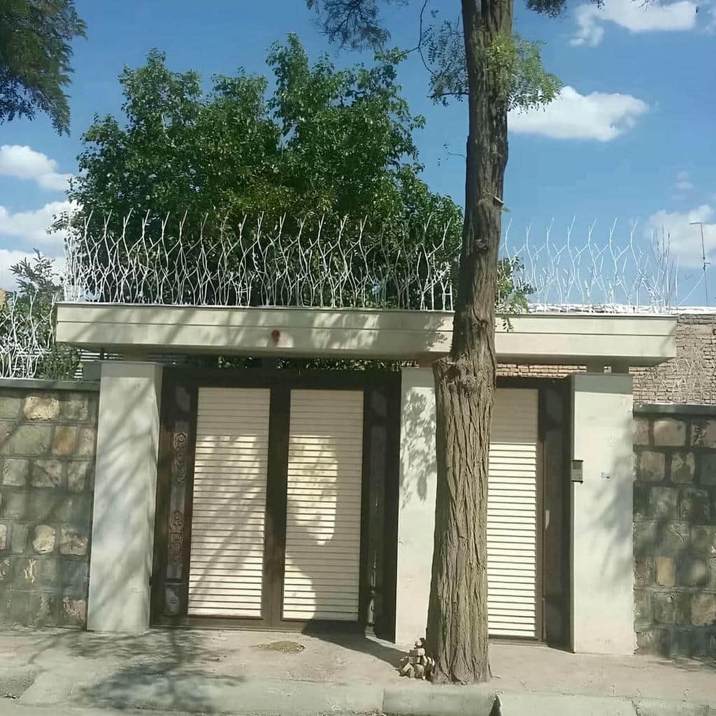 حفاظ شاخ گوزنی در فیروزکوه