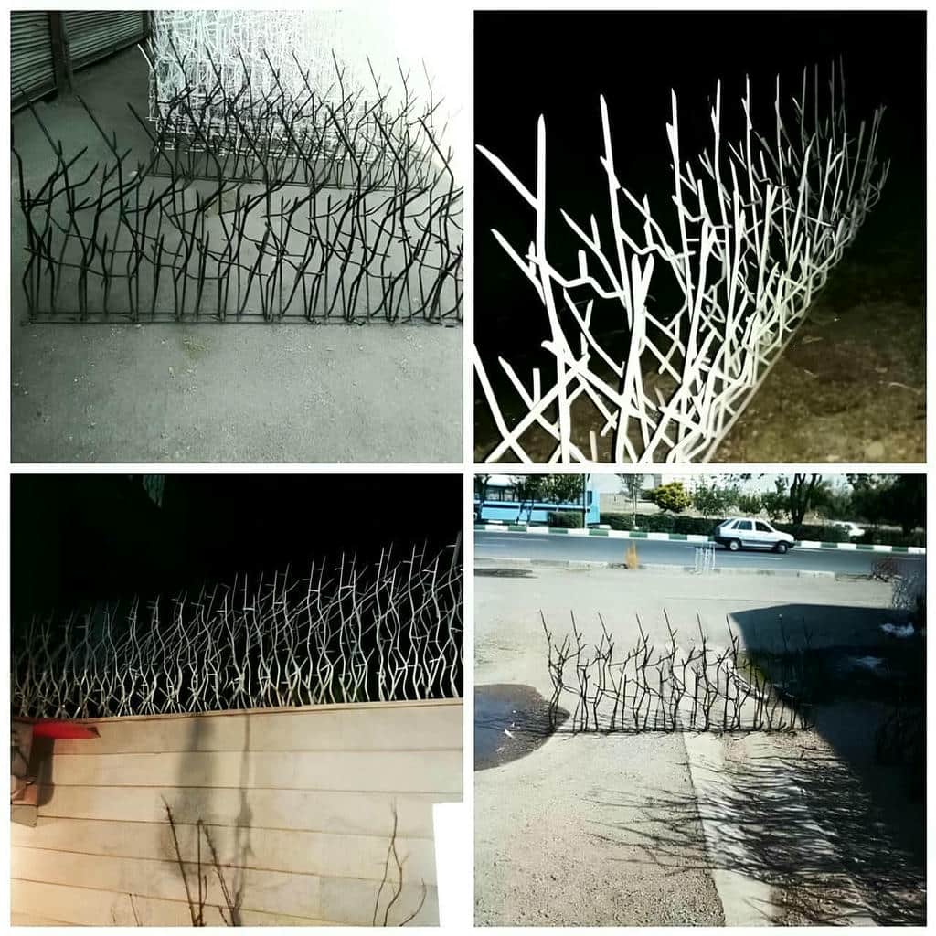 قیمت حفاظ شاخ گوزنی تحویل مرحله ای در یاسوج