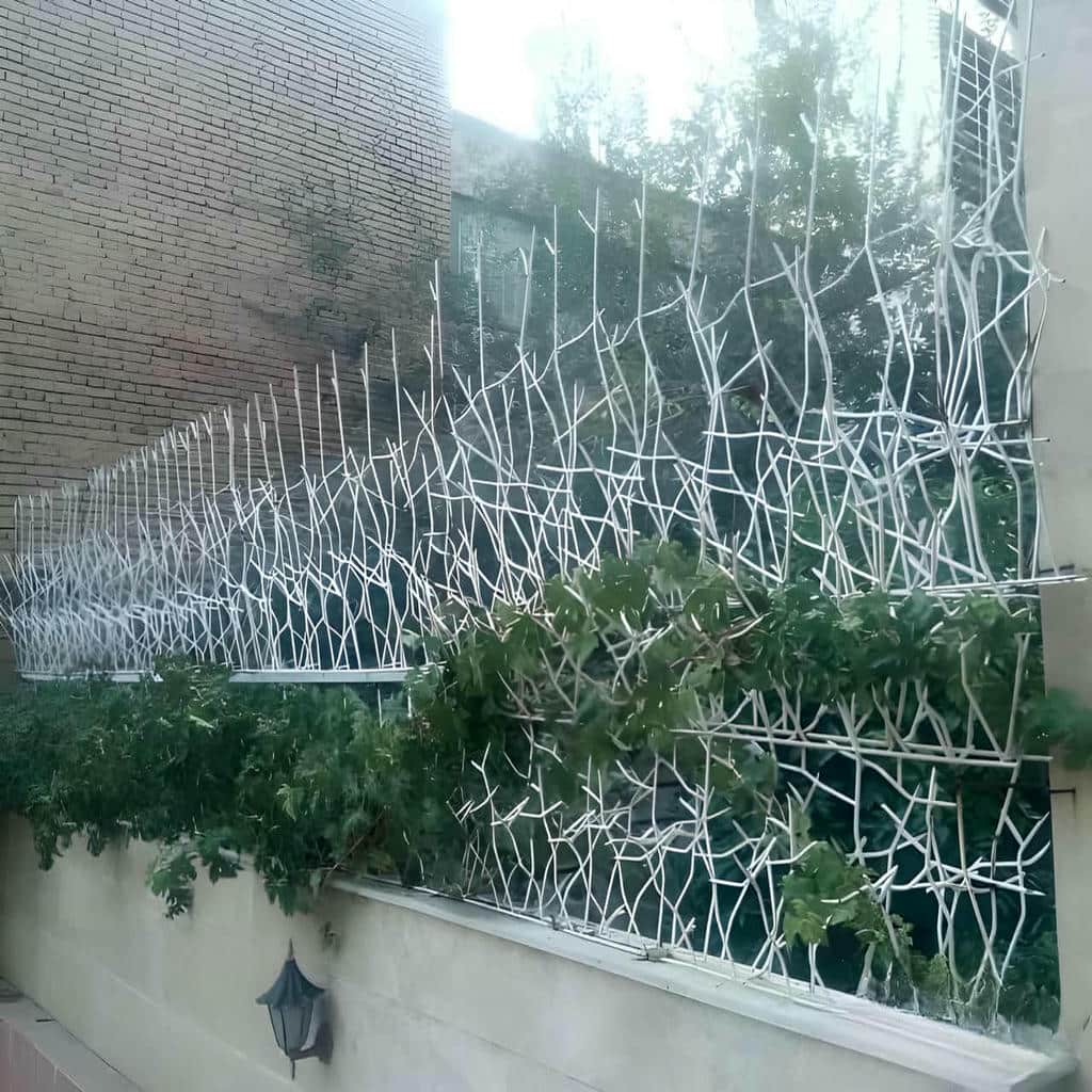 قیمت حفاظ شاخ گوزنی تراکم متوسط در اهواز