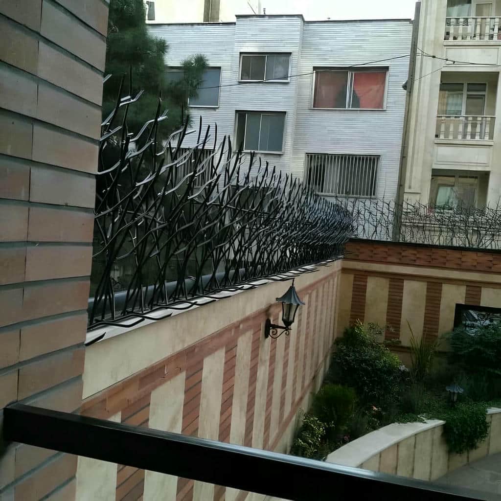 خرید حفاظ شاخ گوزنی تراکم متعادل در شهرکرد