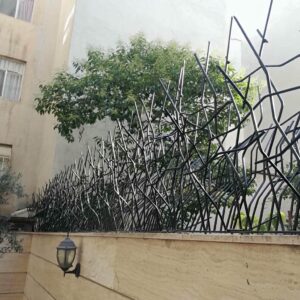 حفاظ شاخ گوزنی در رشت
