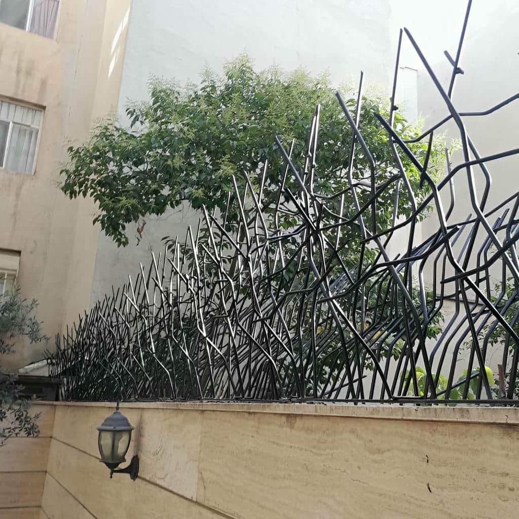 حفاظ شاخ گوزنی در رشت