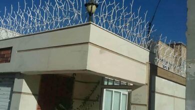 حفاظ شاخ گوزنی در استان مازندران
