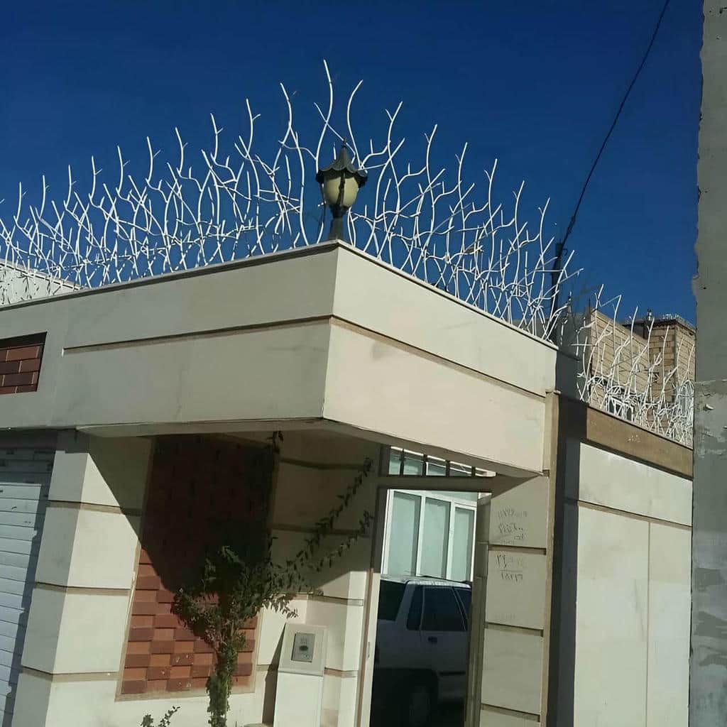 حفاظ شاخ گوزنی در استان مازندران