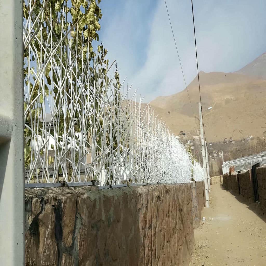 فروش حفاظ شاخ گوزنی تراکم متعادل در مریوان