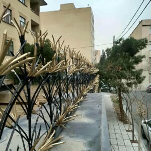 حفاظ شاخ گوزنی در یزد