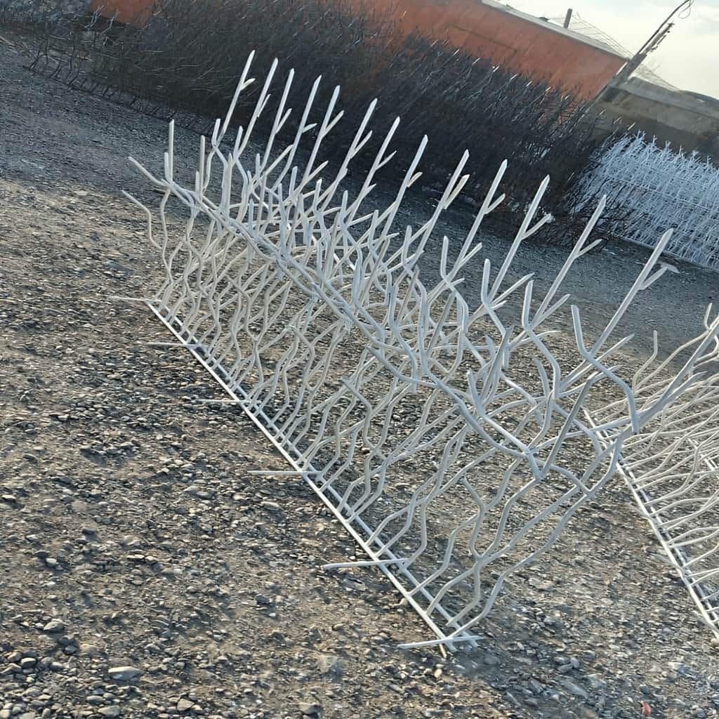 نصب حفاظ دیوار شاخ گوزنی روی درپوش سنگی