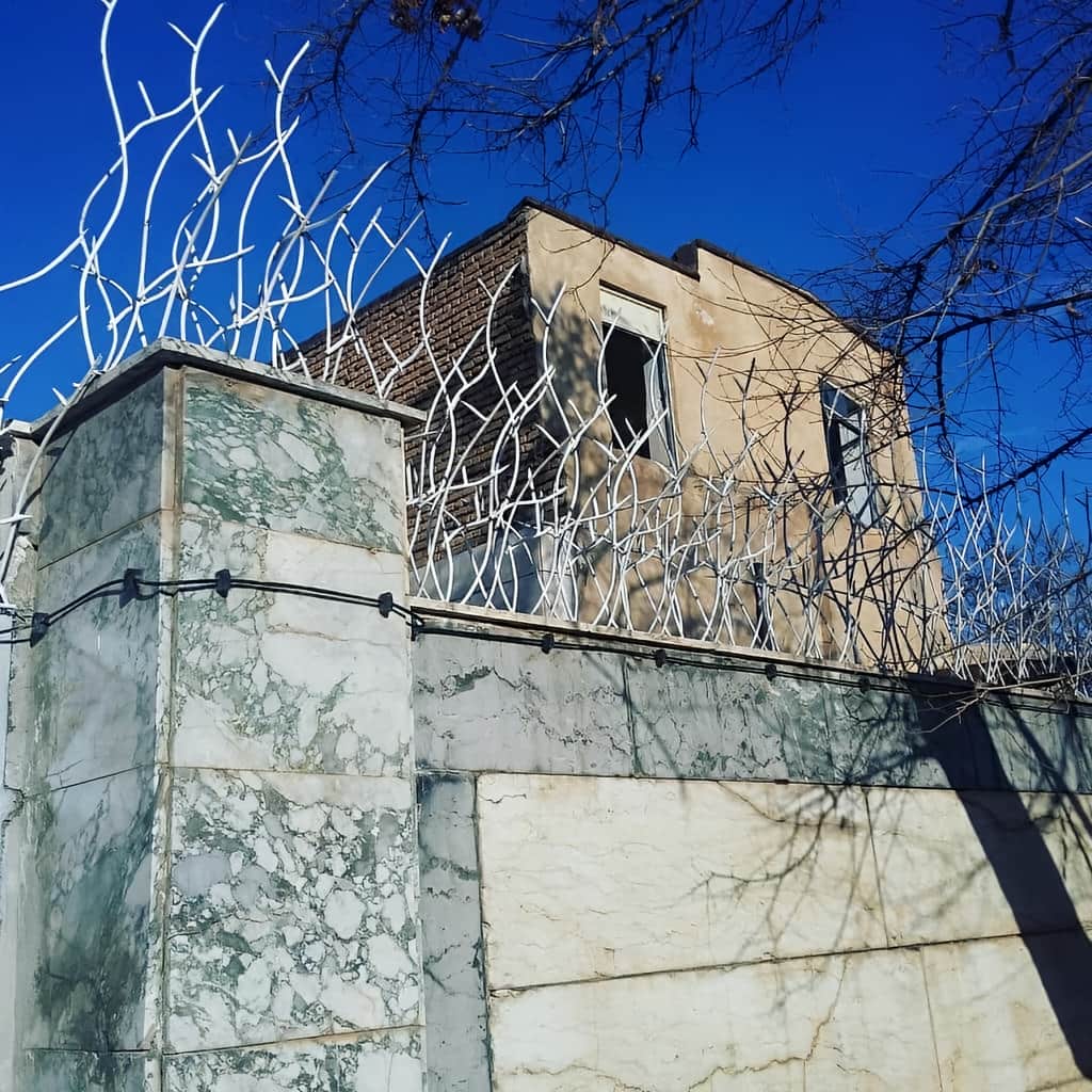 حفاظ شاخ گوزنی خار دار با اتصال محکم به دیوار