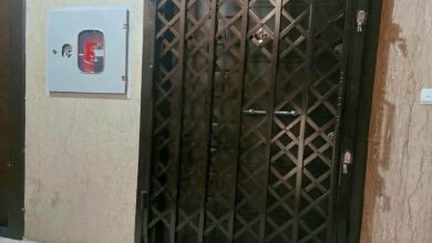 درب آکاردئونی سفید طلایی