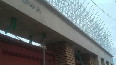 حفاظ بوته ای دیوار پرتراکم