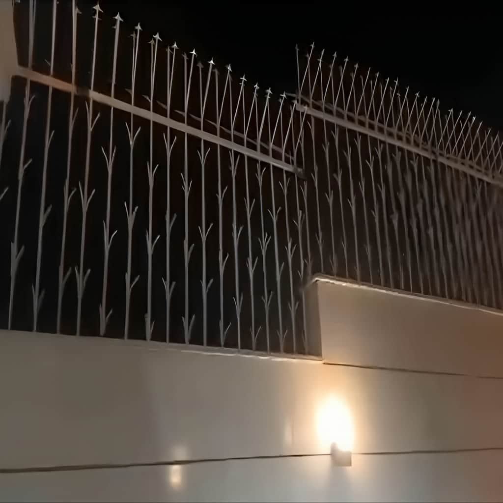 حفاظ دیوار در محله چیذر