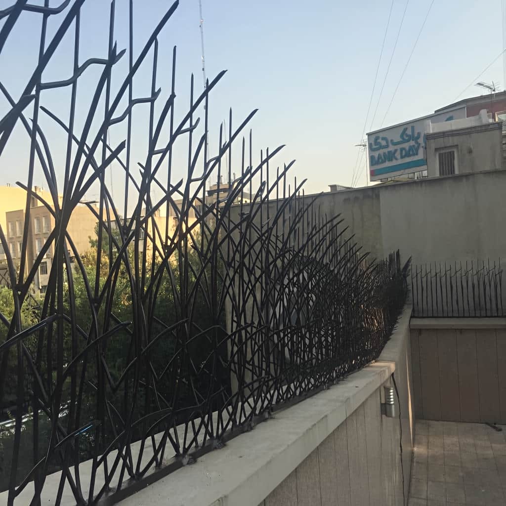 حفاظ نیزار آماده اندازه گیری پروژه نوساز