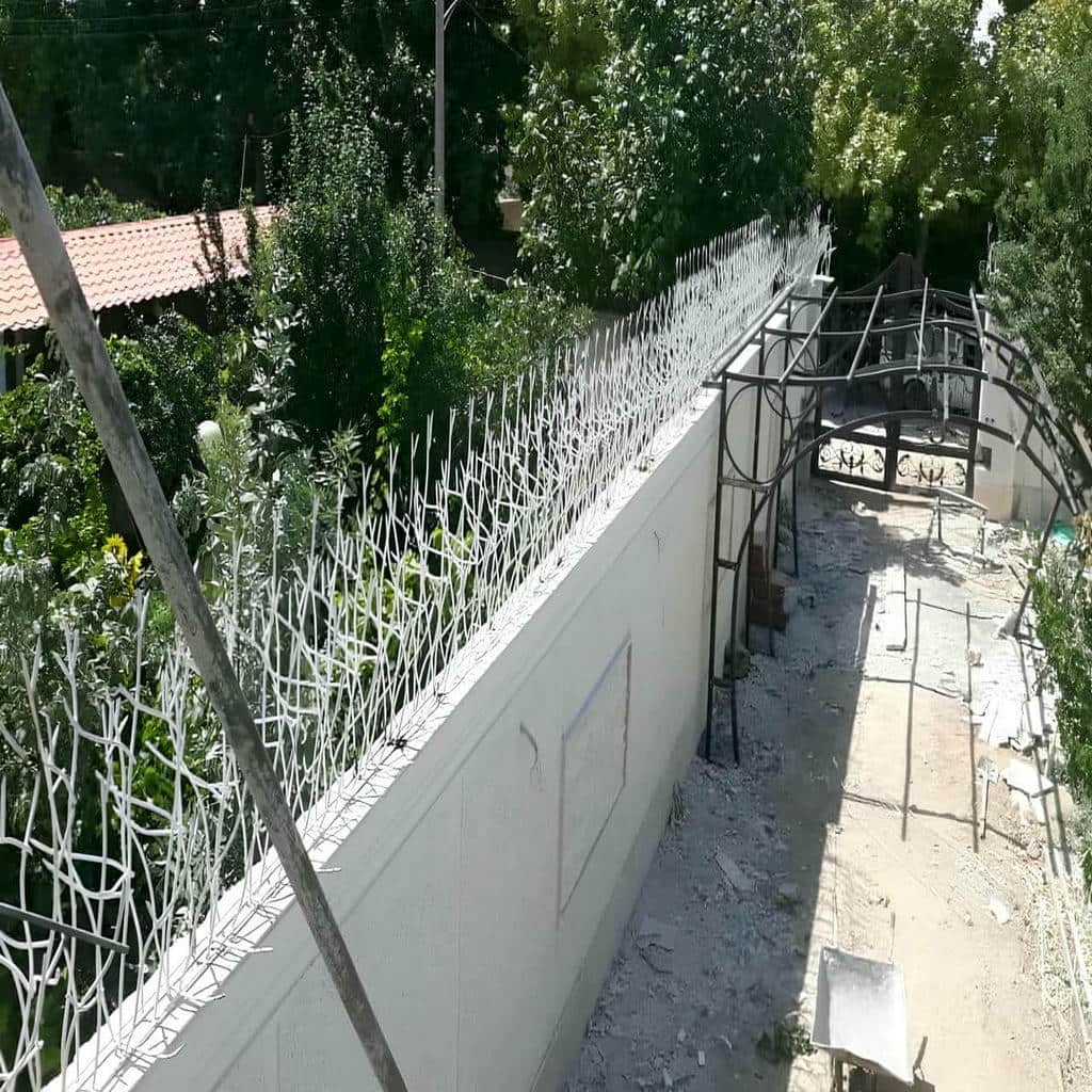 نصب حفاظ شاخ گوزنی دیواری